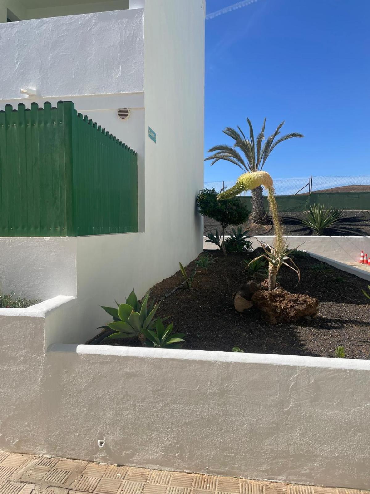 Fuertesun Dunas Beach Parque Holandes Exteriör bild